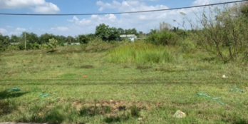 Cho thuê đất thổ cư 3.142 m2 đg số 8 Long Phước sau Chợ