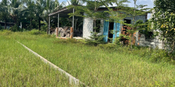 Bán Đất Giá Rẻ Lagi - Full Thổ Cư, Gần KDC Sài Gòn - Hàm Tân