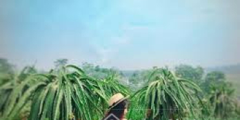 BÁN ĐẤT KÈM NHÀ DT 1.881,5M2 MẶT TIỀN ĐƯỜNG KHU PHỐ LẬP VĨNH