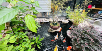 NHỈNH 9 TỶ -  NHÀ VƯỜN KIỂU MẪU NHẬT BẢN - DT 10x13M VUÔNG ĐẸP- OTO TỚI CỬA NHÀ