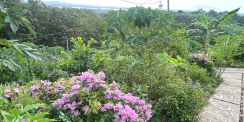 Đất nhà vườn tại Đồng Nai - vị trí đẹp, tiềm năng cao - gần hồ Trị An