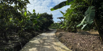 Siêu vip vườn cây ăn trái gần ngã tư Dầu Giây giá sốc chỉ còn 750tr/sào sỗ sẵn