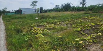 175 triệu có ngay lô đất (5x30) tại Tân Xuân, Phước Trung, Gò Công Đông, TG