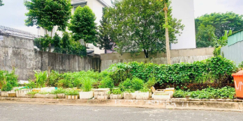 BDS HVL ĐẤT BIỆT THỰ - KDC CAO CẤP VĂN MINH