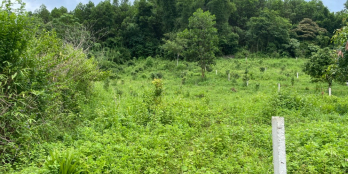 chính chủ cần bán 1230m có 200m đất ở đô thị