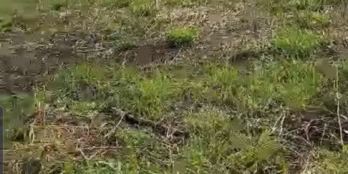 Bán đất thổ cư đường xe hơi shr Gò Công Tiền Giang