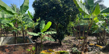 Nóng! Chủ ngộp Bank bán gấp đất vườn Gia Kiệm 1000m² giá chỉ 790 triệu/sào