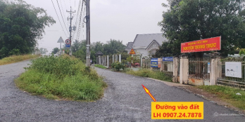 Bán 537m2 đất vườn mít Thái đang cho trái Phường Tân Ngãi, Vĩnh Long