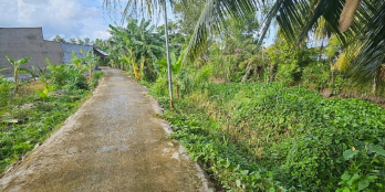 Bán đất giáp đường cao tốc Mỹ Thuận cần Thơ, Phường Tân Hòa, Vĩnh Long