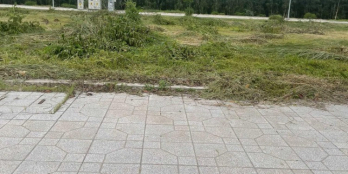 Gần Tết bán nhanh lô đất giáp ranh Bình Chánh diện tích 70m2, SHR