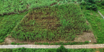 3158m Thổ Cư 1000m Gần khu công nghiệp sông cầu khánh vĩnh khánh hòa