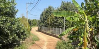 Chủ bán gấp đất vườn Gia Kiệm đi nước ngoài định cư sau Tết giá chỉ 850tr/sào