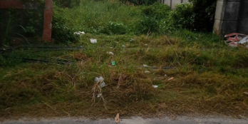 MT LÝ THỊ XÂM 1 XẸT TL15  DT 1238m2 XÃ TÂN THẠNH ĐÔNG GIÁ 12,5 TỶ TL