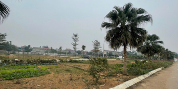 Cần bán 200m2 đất đấu giá full thổ cư, mặt tiền 8m.