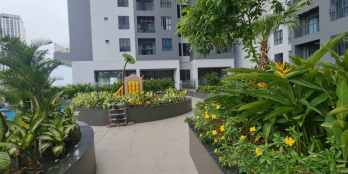 Giỏ hàng chuyển nhượng căn hộ ht pearl đã có sổ, giá tốt nhất thị trường