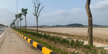 Chuyển nhượng 20.000m2  Khu Công nghiệp Gia Bình 2 - Bắc Ninh