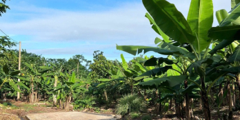 Siêu phẩm đất vườn nghỉ dưỡng tại La Ngà - Đồng Nai