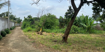 Cuối năm chủ kẹt tiền bán gấp mảnh vườn tại Gia Kiệm sẵn cây ăn trái, giá 750tr