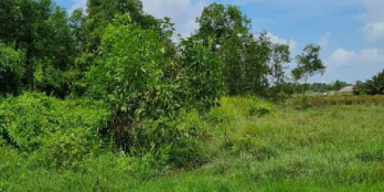 5000m2 đất nông nghiệp gần tuyến cầu Phú Mỹ 2 và tuyến cầu Cát Lái, giá cực tốt