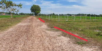 CHÍNH CHỦ CẦN BÁN GẤP 2 SỔ  ĐẤT CÂY HÀNG NĂM CỦ CHI