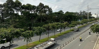 BÁN CHDV 28P NGAY MẶT TIỀN ĐƯỜNG SỐ 7 DÒNG TIỀN 55TR/THÁNG NHỈNH 10 TỶ