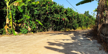 ĐẤT VƯỜN 1000M² GIÁ CHỈ 790 TRIỆU GẦN DẦU GIÂY – CÂY ĂN TRÁI HỆ THỐNG ĐIỆN NƯỚC