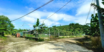 Vườn cây ăn trái 1000m2 cách Long Khánh chỉ 500m - gần TPHCM chỉ 50p di chuyển