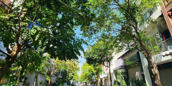 Bán nhà 3 tầng đúc BTCT,đường nhựa 12m, tân quy,Q7. 125m2 chỉ 18 tỷ.