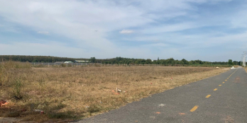 Bán 501,2m² Đất Thổ Cư SHR Mặt Tiền Nhựa, An Tây, Bến Cát, Bình Dương