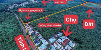 Lô Đất 875m2 Thổ Cư Sổ Riêng Vừa Ở Vừa Đầu Tư Tiềm Năng Sinh Lời Cao 280tr