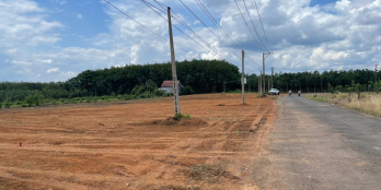 399 TRIỆU SỞ HỮU LÔ ĐẤT NỀN THỔ CƯ ĐƯỜNG NHỰA 19M