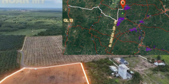 ĐƯỜNG NHỰA NHÀ NƯỚC 19M GIÁ 399 TRIỆU