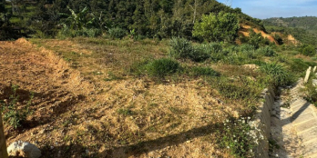 gặp chính chủ 200m2 thổ cư giá 900 triệu gần UBND Lộc Thành , 3p tới mt ql55