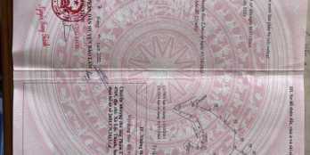 Nguyên quả đồi ở Lộc Nam ,có trồng sầu riêng với bơ sẵn , nước tưới quanh năm