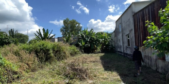 Bán Sào Đất 1.480 M2,Thổ Cư Sẳn Liền Kề,Giá 225 Triệu,Nhựa đổ vào 500m, Gần TT