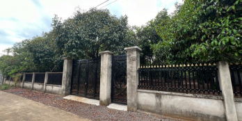 CẦN RA GẤP VƯỜN BÀU HÀM - 1000M2 CÓ PHỦ HỒNG, GIÁ 2 TỶ 2, NGÂN HÀNG CÓ HỖ TRỢ