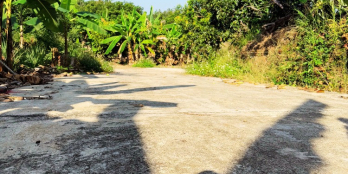 CẦN BÁN GẤP - VƯỜN CÂY ĂN TRÁI LONG KHÁNH, GIÁ RẺ BẤT NGỜ CHỈ VỚI 850 TRIỆU/SÀO