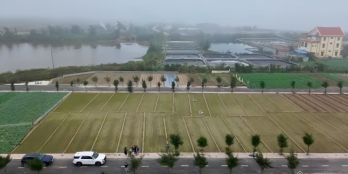 Chính chủ cần bán đất biển Quất Lâm, Nam Định. Vị trí trung tâm, gần bãi tắm