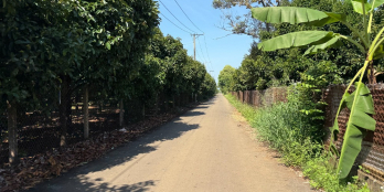 Đất sào sổ sẵn Thống Nhất - sẵn cây ăn trái, view đẹp, giá chỉ 850 triệu/sào