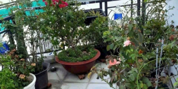 Nhà Bán Chợ Hoà Hưng Cách Mạng Tháng 8 Quận 10, 78m2 5 Tầng, Căn Góc HXH Tránh