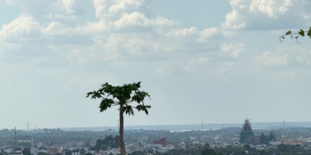 SIÊU HOT — ĐẤT VƯỜN VIEW THUNG LŨNG SẦU RIÊNG & SUỐI NHỎ THƠ MỘNG, GIÁ SỐC 800tr