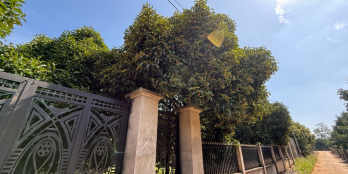 CẦN RA GẤP VƯỜN BÀU HÀM - 1000M² ĐẤT ĐÃ PHỦ HỒNG, GIÁ CỰC TỐT CHỈ 2 TỶ 2