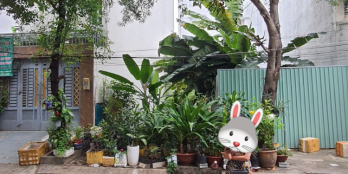 Bán đất đường Đặng Thùy Trâm, Phường 13, Bình Thạnh