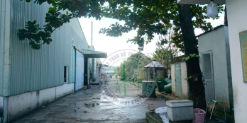 Cho thuê nhà xưởng diện tích 5000m2, trong đó diện tích xây dựng 2.800m2