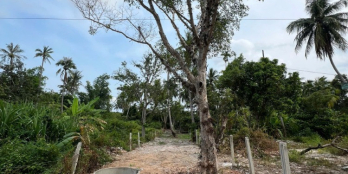 12 Triệu/m2!! 2 Mặt Tiền Khu Bàn Cờ Cam Đức