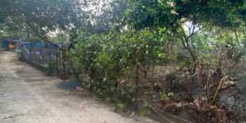 131m hai mặt tiền trước sau cách quốc lộ 6 chỉ 120m giá chỉnh hơn 20tr 1m