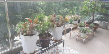 Cho Thuê Căn Hộ PMH - Q7 - Garden Court 1, dt: 147 m2 - 3 Phòng ngủ - 2 WC