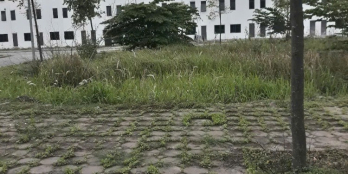 Chính chủ bán đất tại dự án 4,6ha thị trấn Lim, đã có bìa hồng