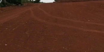 đất tân hưng đồng phú cách đt753 800m đường quy hoạch 20m