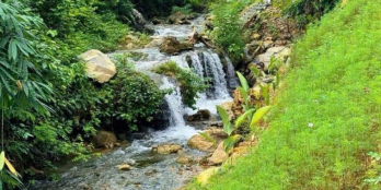 Sở hữu đất vườn trái cây có suối nhỏ gần TP. HCM chỉ 1ty4/1000m². Sẵn nhà cấp 4